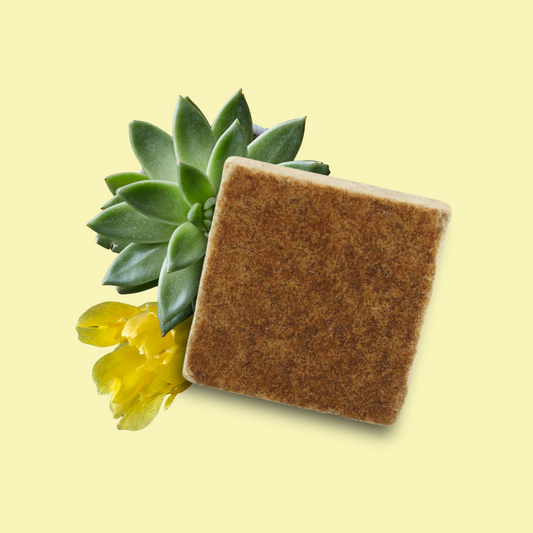 Cactus Blossom Scent Wafer